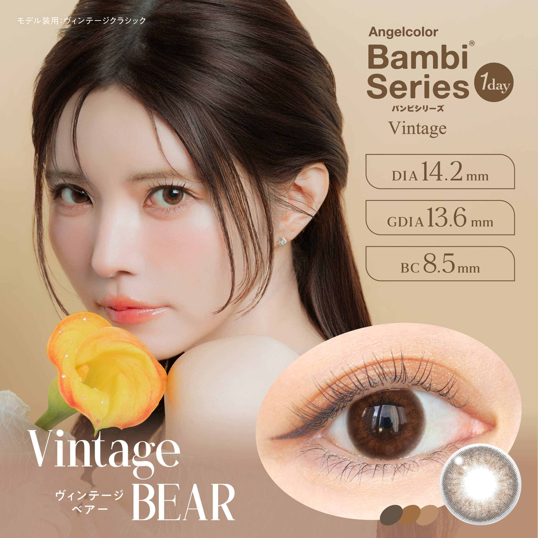Angelcolor Bambi Series 1day Vintageエンジェルカラー バンビシリーズ ワンデー ヴィンテージ　ヴィンテージベアー